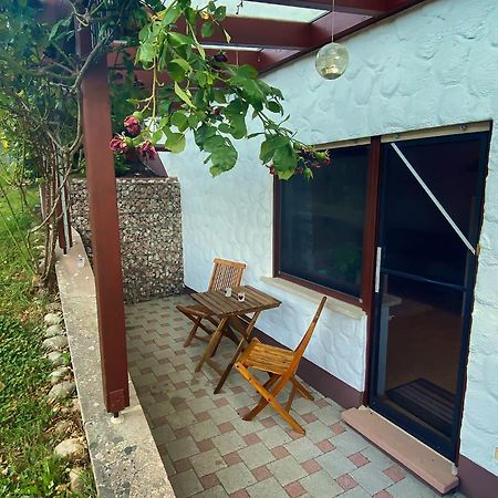 Gemuetliche Wohnung Mit Neckarblick 埃伯巴赫 外观 照片